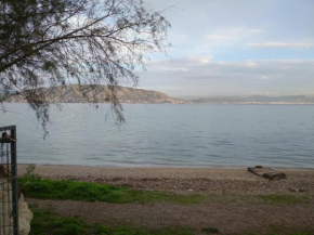 Hotels in Salamina